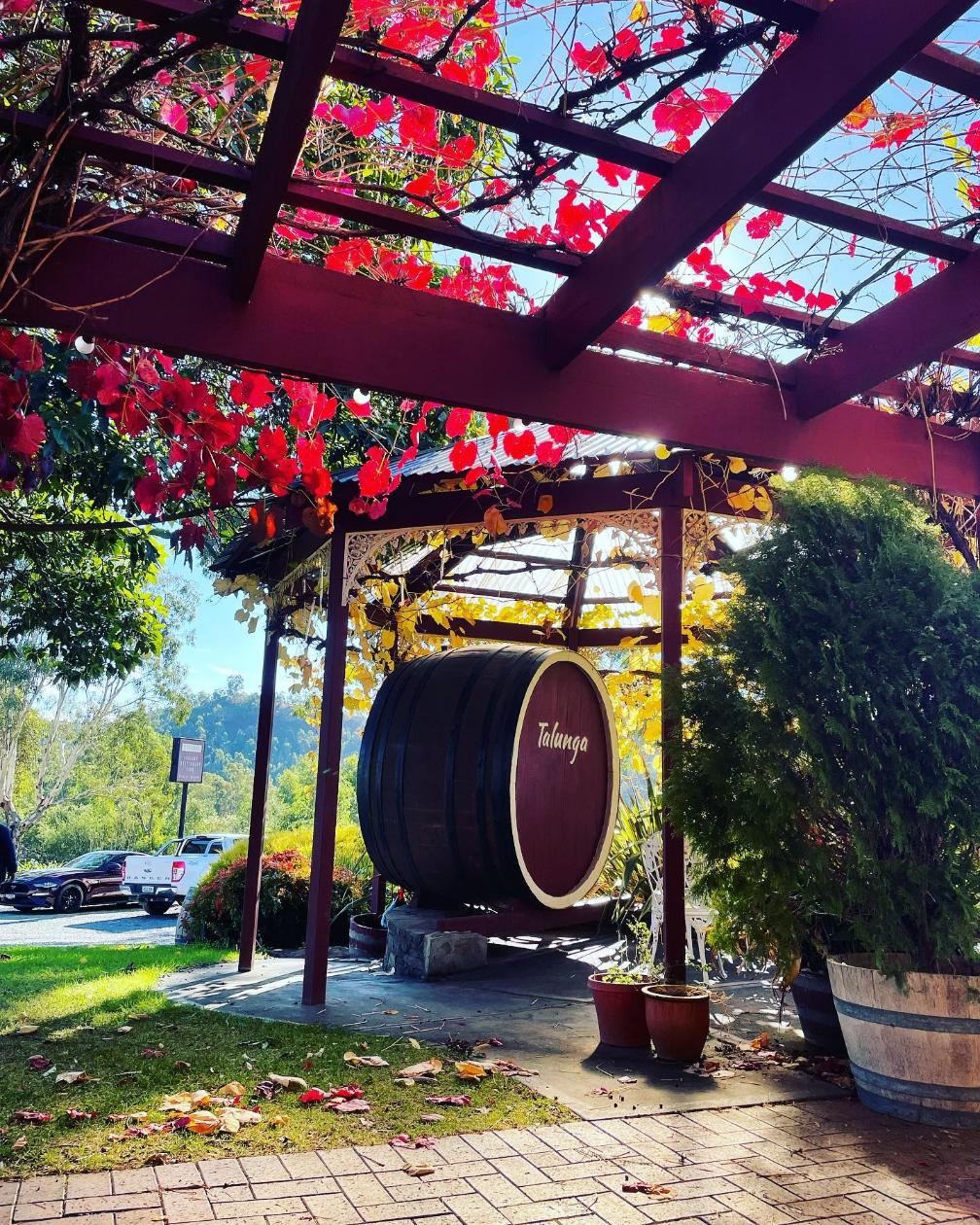 winery winery