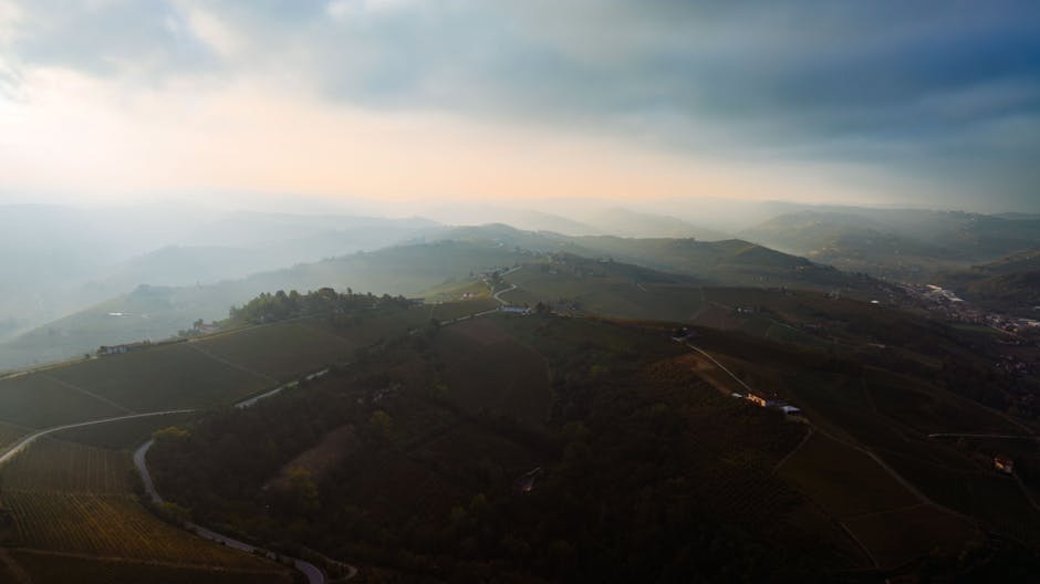 McLaren Vale vs Barossa Valley: Choosing Your Wine Tour Experience