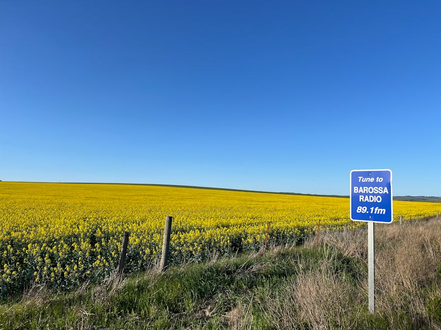 Local’s Guide to Barossa Valley